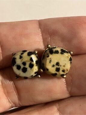 Dalmatian Jasper Stone Stud Earrings - Cream and Black